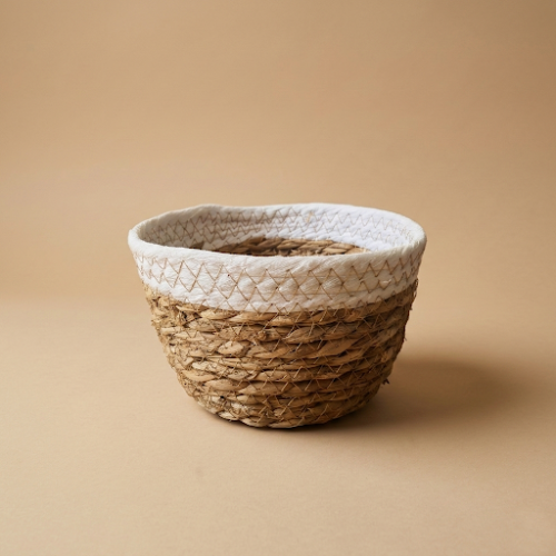 Panera seagrass BORDE