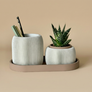 Set organizador maceta + lapicero NOMA