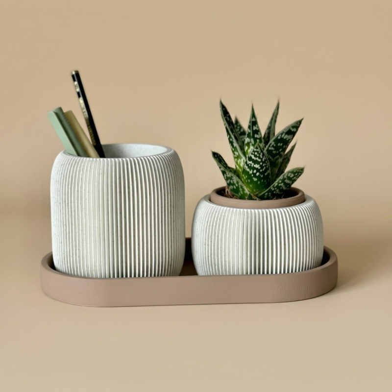 Set organizador maceta + lapicero NOMA