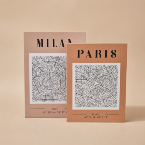 Set x2 cajas organizadoras Libros decorativos Milan y Paris