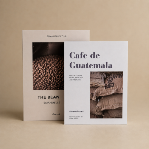 Set x2 cajas organizadoras Libros decorativos Café