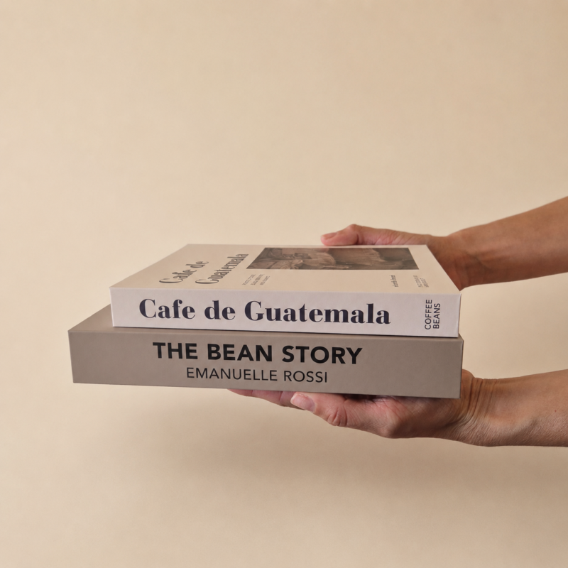 Set x2 cajas organizadoras Libros decorativos Café